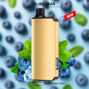 Buy Alibarbar Ingot Blueberry Mint – 9000 Puffs | Just Vapes Australia