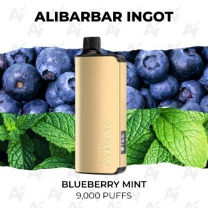 Gold vape device standing upright against a backdrop of blueberries and mint leaves, labeled 'Blueberry Mint' 9,000 puffs.