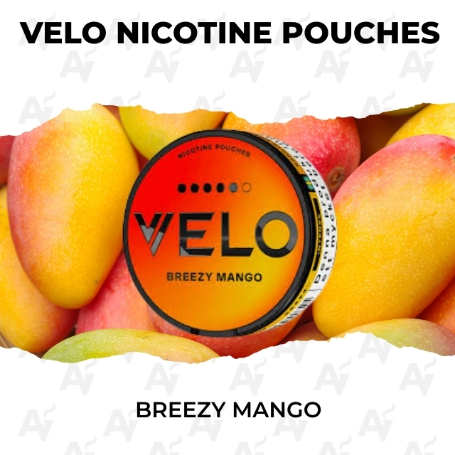 Velo Breezy Mango - Just Vapes Australia - Velo-nicotine-pouches-breezy-mango-1 - Just Vapes Australia Velo Breezy Mango - Just Vapes Australia - Velo Breezy Mango Nicotine Pouches Tin Shown Among Mangoes with a Bold Orange Velo Label and Fruit Background.